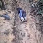 Opinião: Políticos mentem sobre garimpo, enquanto guerrilha segue na Terra Yanomami