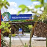 Prefeitura de Boa Vista fecha Bosque dos Papagaios e balneários para conter avanço da Covid-19