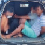 Polícia Civil prende três pessoas por tráfico de drogas em Boa Vista