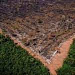 Brasil pede apoio financeiro aos EUA para combate ao desmatamento na Amazônia