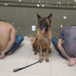 Jovens são presos pela PM com drogas, arma e R$ 3 mil em dinheiro em Boa Vista