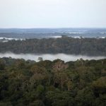 Roraima1 tem cobertura jornalística sobre meio ambiente elogiada em artigo do Observatório da Imprensa