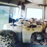 Motorista é preso com 1,7 mil litros de gasolina que seguia para garimpo no interior de Roraima