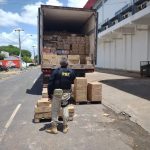 Semirreboque adulterado avaliado em R$ 200 mil é apreendido na BR-174 em Boa Vista