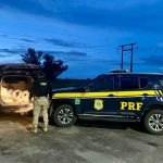 PRF apreende mais de 600 kg de cassiterita na BR-174