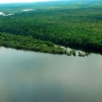 Governadores da Amazônia Legal lançam Plano de Recuperação Verde