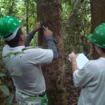 Sine oferta 80 vagas de emprego nesta quarta-feira (26) em Roraima