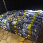 Cerca de uma tonelada de alho contrabandeado é apreendida pela PRF em Bonfim