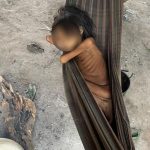 Cinco municípios de RR em área Yanomami receberam R$ 96 milhões do orçamento secreto