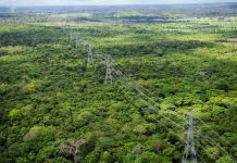 Roraima Energia pede à Aneel R$ 10,4 milhões para cobrir custos extras com energia