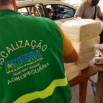 Aderr apreende 72 quilos de queijo vindo da Venezuela em táxi intermunicipal