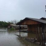 ‘Há possibilidade do nível do rio Branco superar marca de 2011’, aponta meteorologista