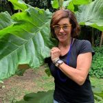 Christiane Torloni defende voluntários na Amazônia: ‘Arriscando suas vidas’
