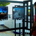 Exposição fotográfica ‘9 de julho’ comemora aniversário de 131 de Boa Vista