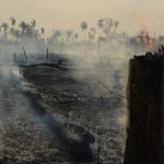 Roraima lidera ranking nacional de queimadas em fevereiro