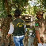 Dengue, zika e chikungunya: Força-tarefa vistoria 2 mil imóveis em um dia em Boa Vista