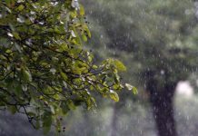 Confira a previsão do tempo para Boa Vista entre os dias 11 e 15
