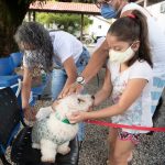 Campanha de vacinação antirrábica é iniciada em Boa Vista