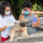 Mais de 6 mil animais foram imunizados contra a raiva no fim de semana em Boa Vista