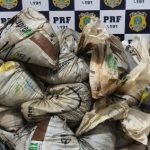 Justiça manda leiloar minério extraído ilegalmente da terra Yanomami minério apreendido pela PRF-RR