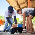 Campanha de vacinação antirrábica na zona rural de Boa Vista segue até 20 de novembro