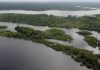 Dez mil sítios arqueológicos pré-colombianos estão escondidos na Amazônia