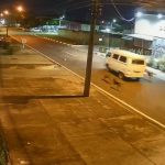Câmeras de segurança flagram abandono de animais em rua de Boa Vista; assista