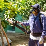 Índice de infestação do mosquito da dengue reduz 57% em Boa Vista