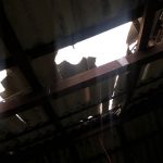 Criminosos invadem casas e ferem morador na zona Oeste de Boa Vista