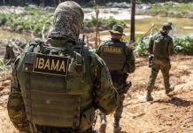 Proposta que aprova porte de arma para agentes de fiscalização ambiental avança no Congresso