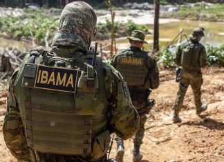 Proposta que aprova porte de arma para agentes de fiscalização ambiental avança no Congresso