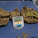 Três são presos em flagrante com maconha no Cantá