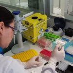 DPE-RR vai arcar com exames de DNA em alguns casos de reconhecimento de paternidade