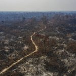 Crise climática e desmatamento ameaçam futuro da Amazônia, diz painel da ONU