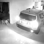 Apresentadora tem casa invadida e criminosos furtam carro e objetos pessoais em Boa Vista