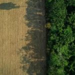 Roraima tem três das 10 terras indígenas mais desmatadas em 2025