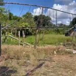 Entidade diz que indígenas receberam ouro para omitir crimes de garimpeiros
