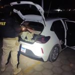 PRF prende homem condenado por homicídio qualificado e apreende mais de 600 kg de cassiterita em Boa Vista