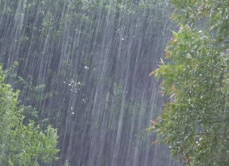 Boa Vista tem sábado de céu nublado e chuva desde as primeiras horas do dia