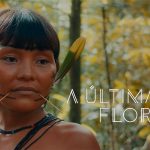 Documentário ‘A Última Floresta’, sobre indígenas Yanomami em Roraima, vence prêmio ibero-americano de cinema