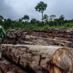 ONGs detalham em relatório programa para “desfazer” política ambiental de Bolsonaro