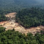 Como investigados por garimpo ilegal influenciam as eleições em cidades da Amazônia