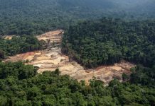 MPF investiga mineradora de Roraima e empresas estrangeiras por exploração ilegal na Terra Yanomami