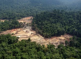 MPF investiga mineradora de Roraima e empresas estrangeiras por exploração ilegal na Terra Yanomami