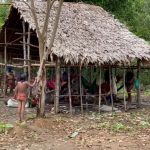 Indígenas Yanomami relatam que criança recém-nascida foi levada por garimpeiros em Roraima