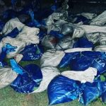 Em 4 meses, PF apreendeu mais de 25 toneladas de cassiterita em Roraima
