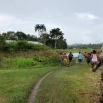 Corte da OEA vai analisar medidas de proteção a indígenas Yanomami em Roraima