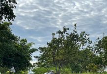 Helicóptero que caiu e deixou dois mortos em Boa Vista voava com certificado vencido há dez anos
