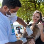 Campanha de vacinação antirrábica continua neste sábado (13) em Boa Vista