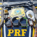 PRF apreende armas e munições que seriam usadas para caça de animais silvestres no interior de Roraima
